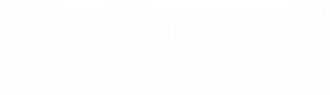 LOGO AUTO ESPECIAL BRANCO